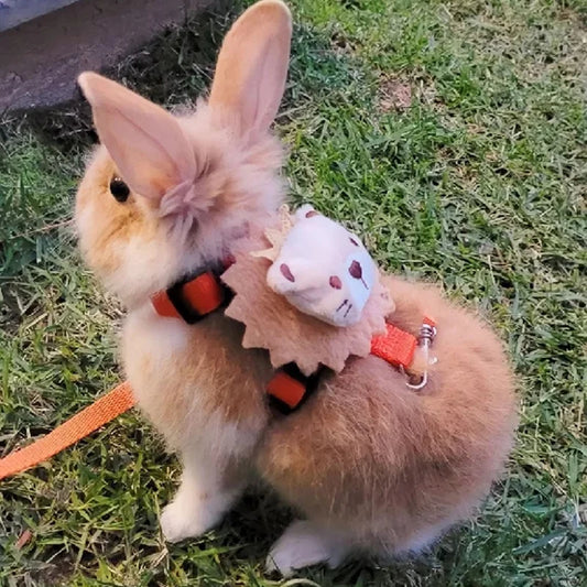 Cute Harness and Leash Set for Small Pets