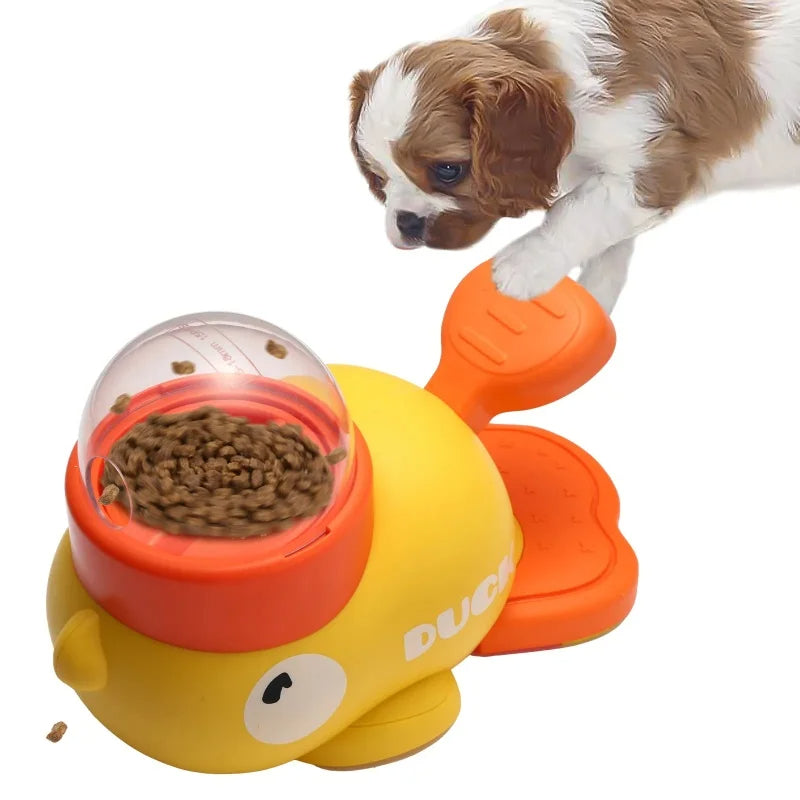 Pets