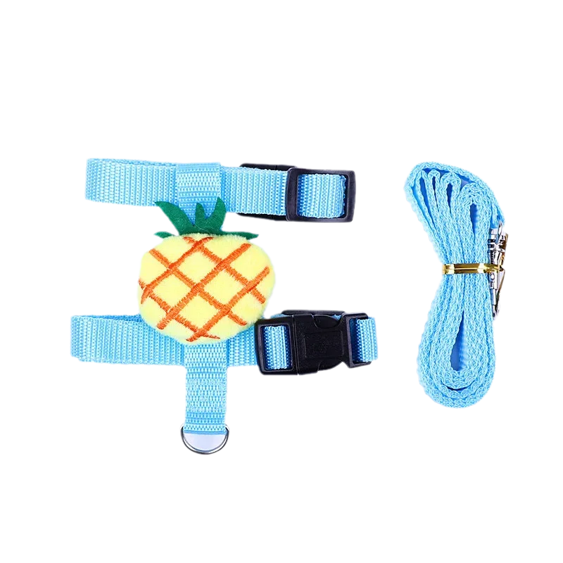 Cute Harness and Leash Set for Small Pets