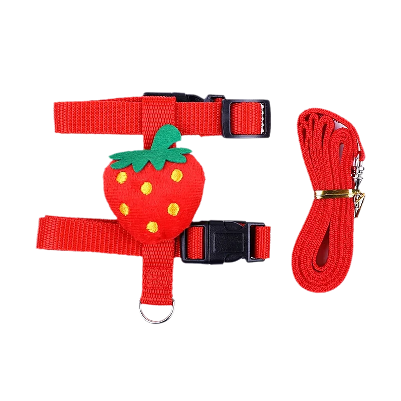 Cute Harness and Leash Set for Small Pets