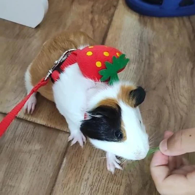 Cute Harness and Leash Set for Small Pets