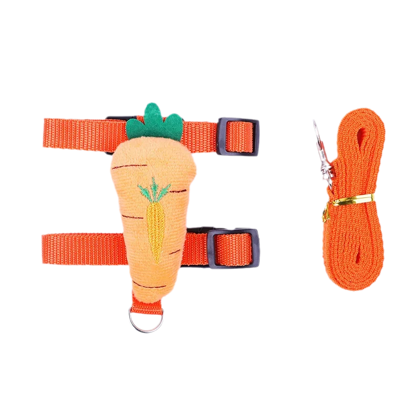 Cute Harness and Leash Set for Small Pets