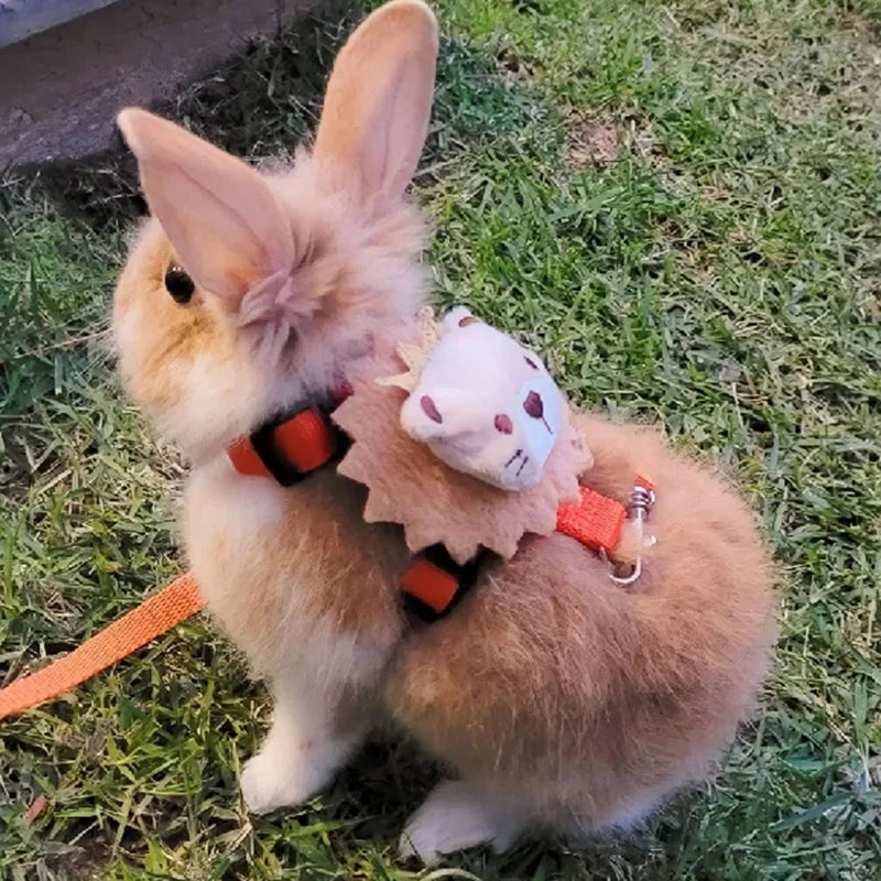 Cute Harness and Leash Set for Small Pets