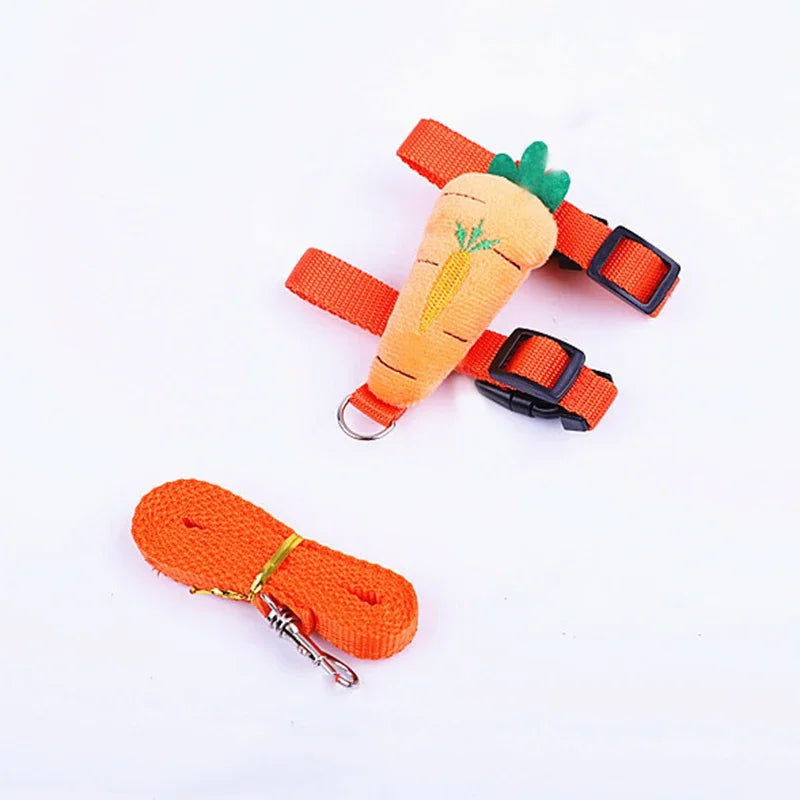 Cute Harness and Leash Set for Small Pets